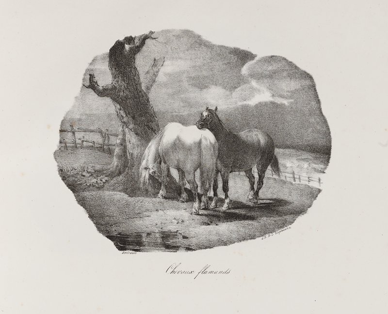 Cheval Flamands, Теодор Жерико, 1822