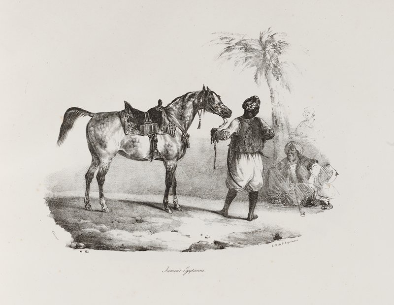 Jument Egyptienne, Теодор Жерико, 1822