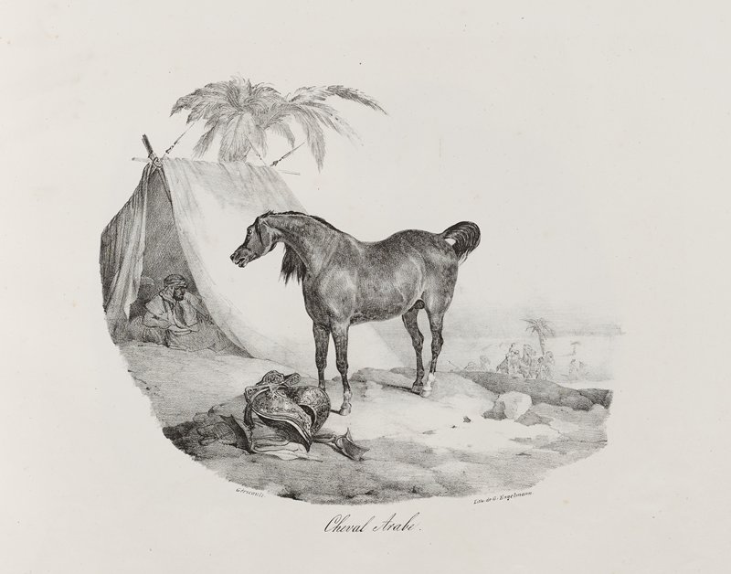 Cheval Arabe, Jean Louis André Théodore Géricault, 1822