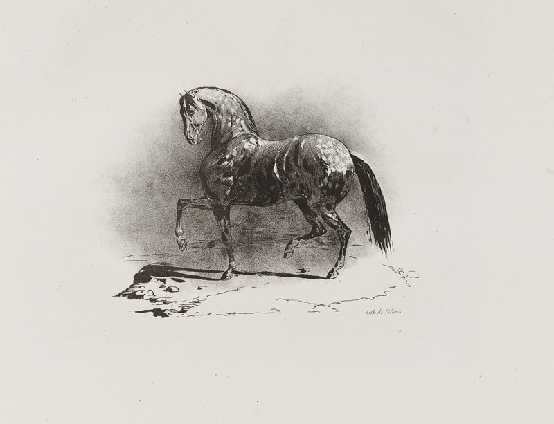 Cheval au trot, Теодор Жерико, 1823