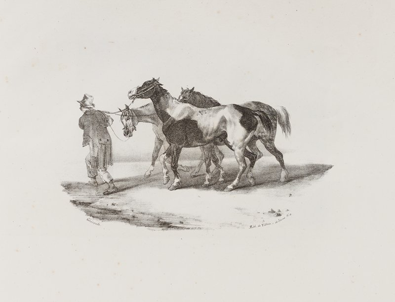 Cheval conduits a l'ècorcheur, Теодор Жерико, 1823