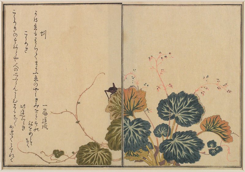 Earthworm and Cricket, Kitagawa Utamaro, 1788