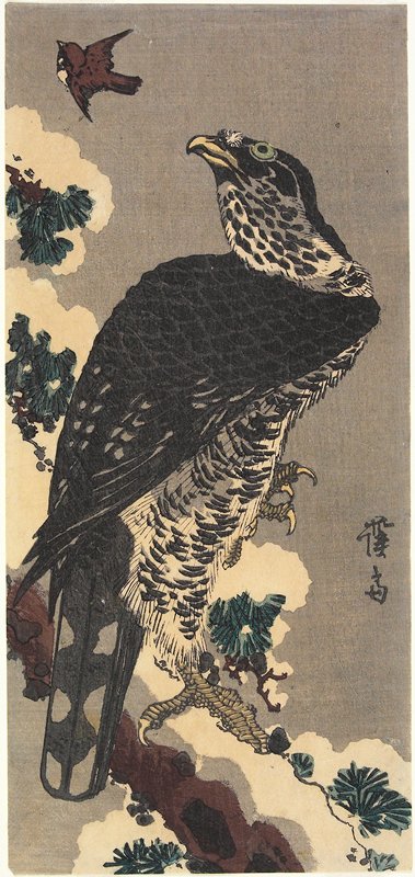 A Northern Goshawk on a Pine Tree in Snow Aiming at a Sparrow, Eisen 英泉, late 1830s–early 1840s