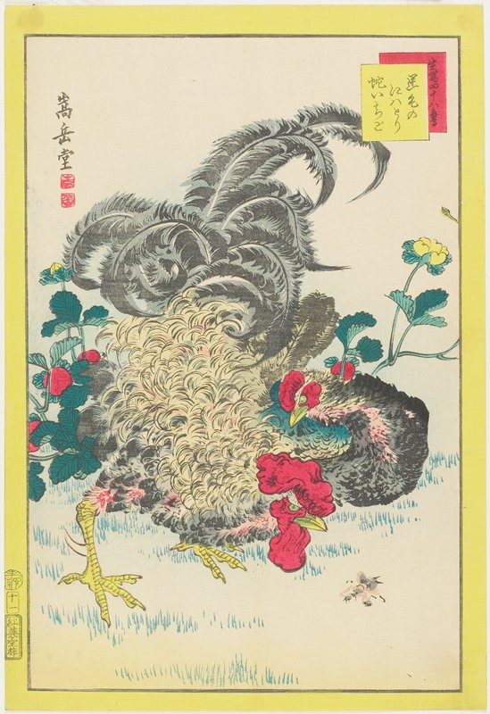 Rooster and Raspberries, Nakayama Sūgakudō, 1859, 6th month