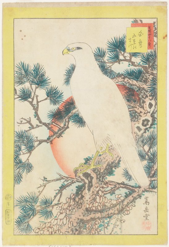 No. 1, White Falcon and Five-needled Pine, Nakayama Sūgakudō, 1859, 6th month