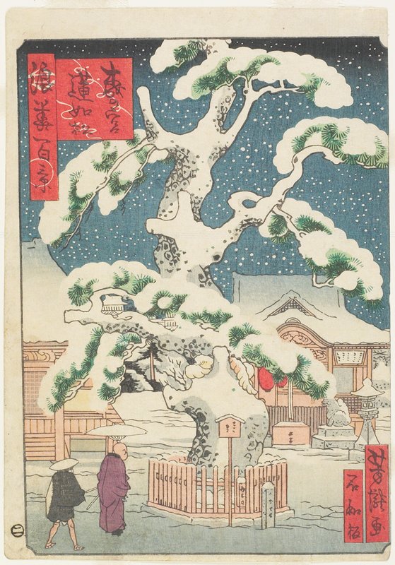 Rennyo-Pine Tree at Miyanomori, Utagawa Yoshitaki, 19th century