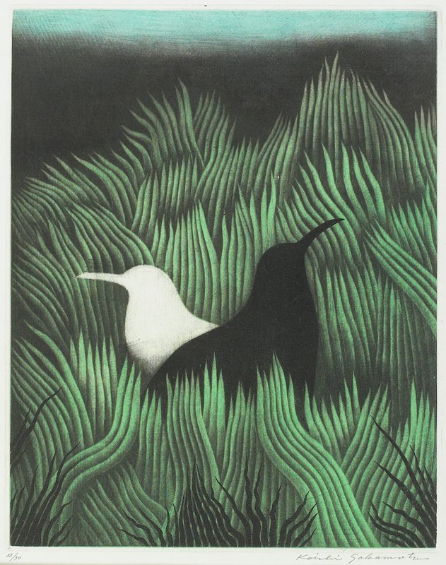 Grassland, Sakamoto Kōichi, 1960s