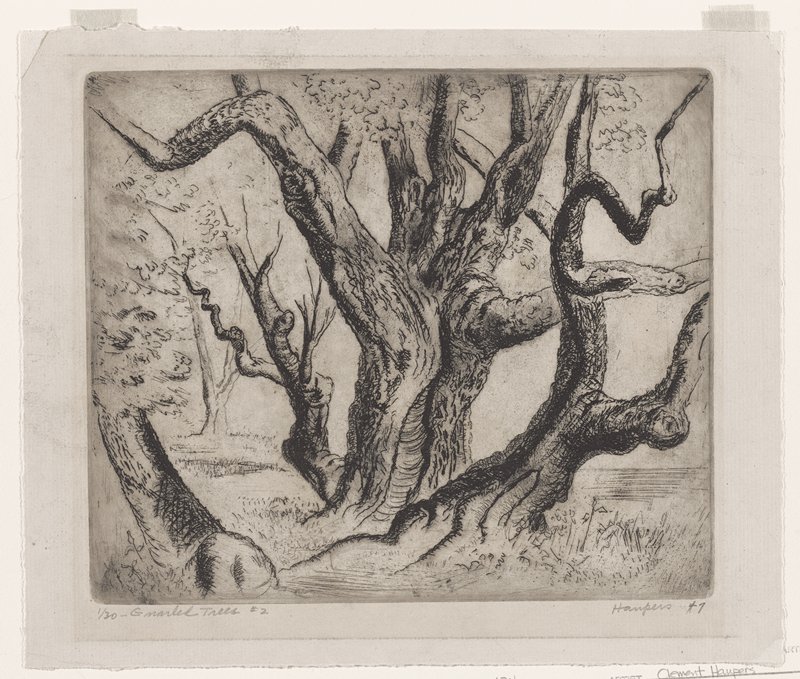 Gnarled Tree #2, Clement Haupers, 1947