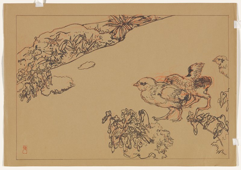 Study for Snow Grouse and Dicentra Flowers, Yoshida Hiroshi, 1926