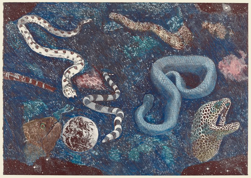 Sea Serpents: Tractatus Aristoteles, Ann McCoy, 1978