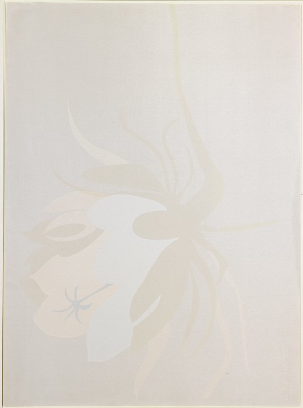 Night Blooming Cereus, Hazel Belvo, 1980