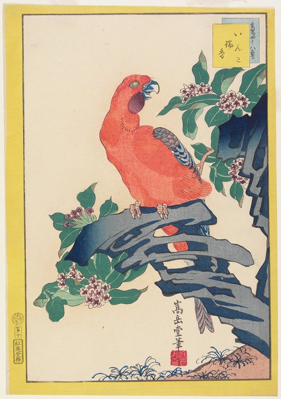 Pink Parrot on Rock, Nakayama Sūgakudō, 1859, 6th month
