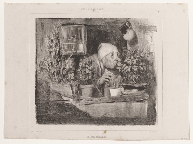 L'Odorat (Les Cinq Sens), from La Caricature