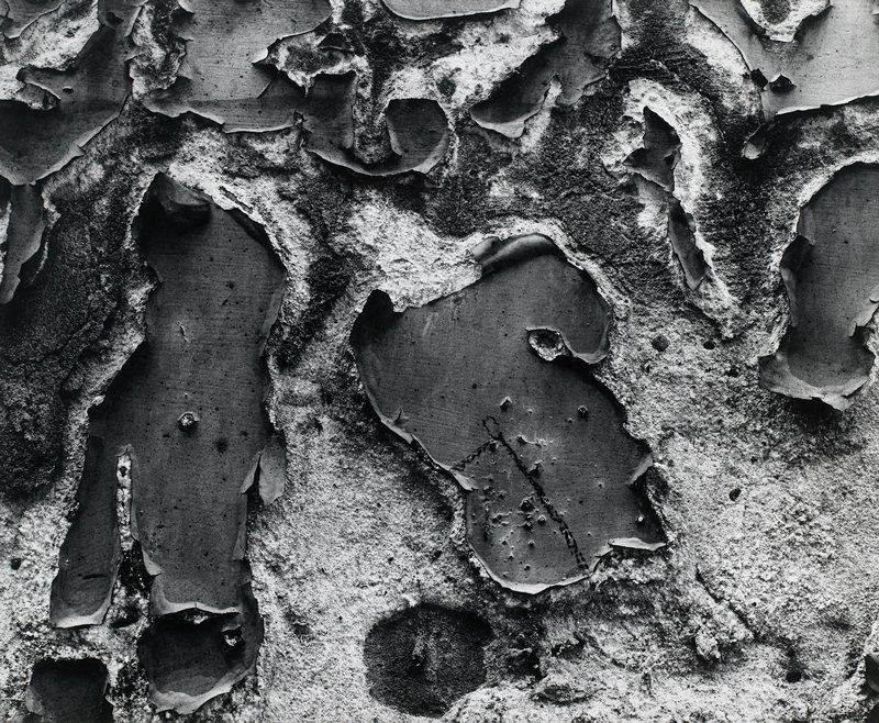 Chicago 2, Aaron Siskind, 1948