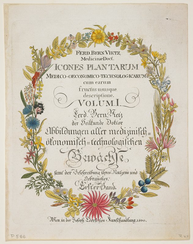 Frontispiece and Title Page. Vol. I, from Icones Plantarum Medico-oeconomico-technologicarum..., Ferdinand Bernhard Vietz, 1800