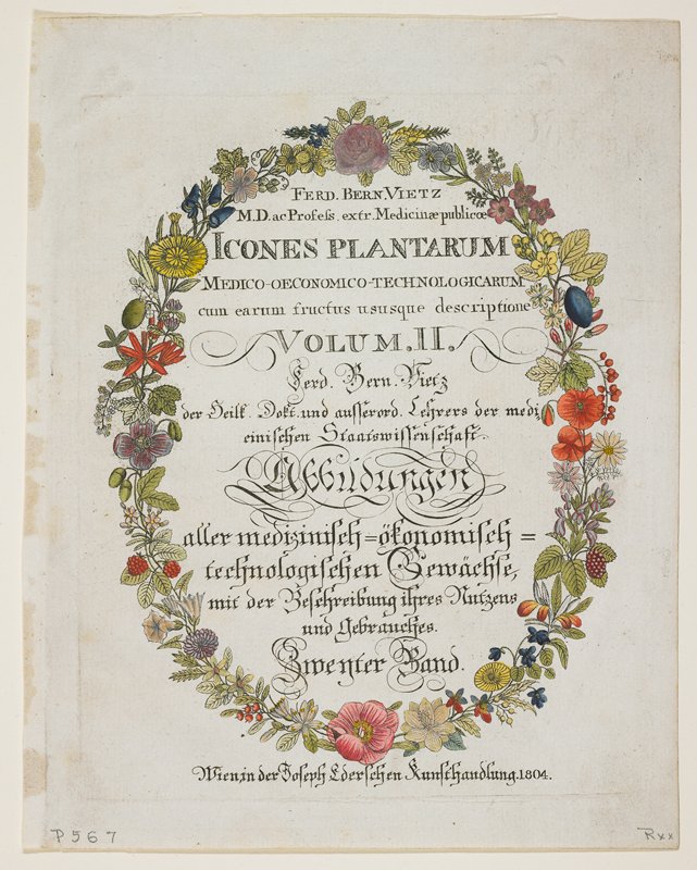 Frontispiece and Title Page. Vol. II from Icones Plantarum Medico-oeconomico-technologicarum, Ferdinand Bernhard Vietz, 1804