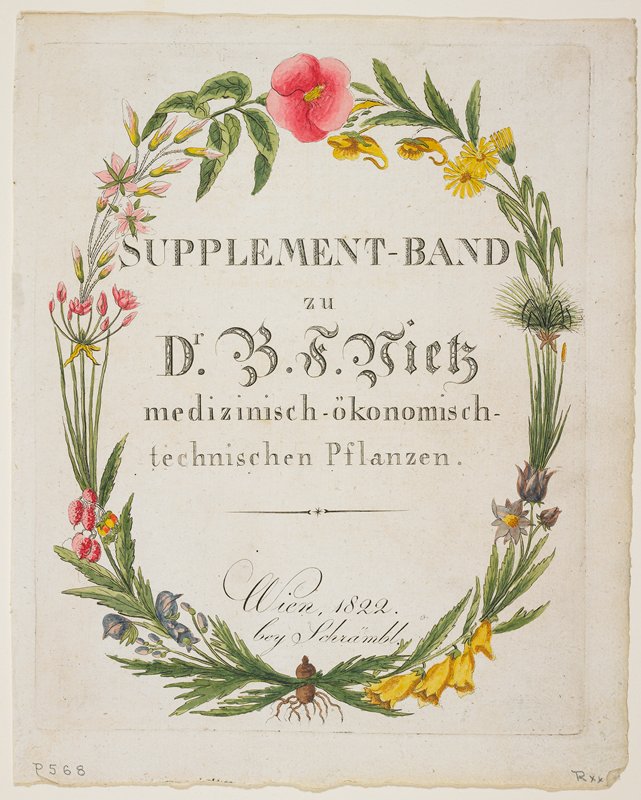 Frontispiece and Title Page to Supplement-Band zu Dr. B. F. Vietz medizinisch-ökonomisch-technischen Pflanzen from Icones Plantarum Medico-oeconomico-technologicarum, Ferdinand Bernhard Vietz, 1822