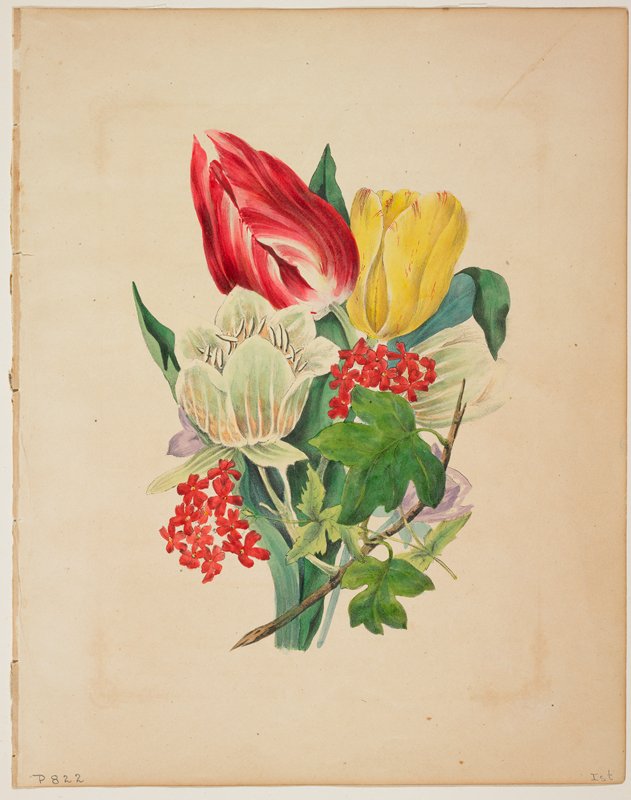 Bouquet of Tulips, from Flora's Dictionary, Mrs. E. W. Wirt, 1838