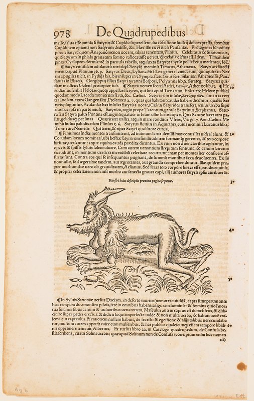 Monster.  De Quadrupedibus.  Page 978, Conrad Gesner, 1551–87