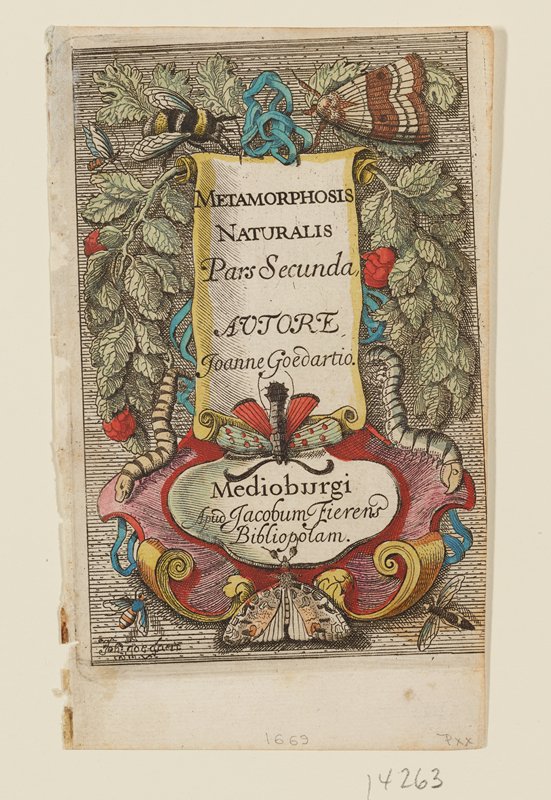Frontispiece.  Pars Secunda., Johannes Goedart, 1662