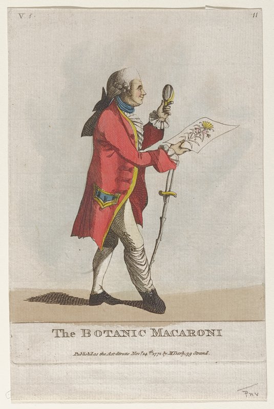The Botanic Macaroni, Matthew Darly, November 14, 1772