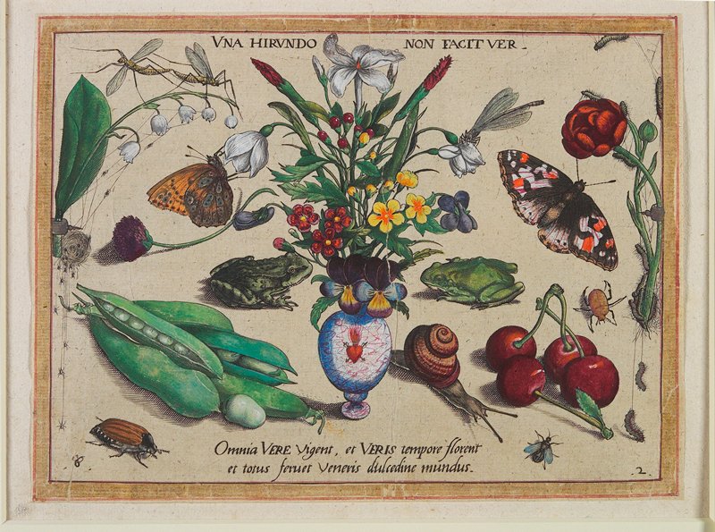 Una Hirundo non Facit ver, Jacob Hoefnagel, 1592