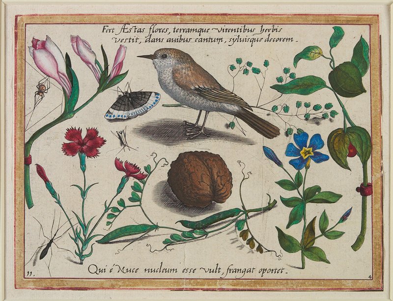 Fert Aestas flores, terramque virentibus herbis vestit, dans auibus cantum, syluisque decorem, Jacob Hoefnagel, 1592