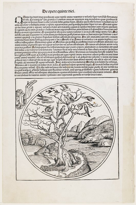 The Fourth Day of Creation (verso); The Fifth Day of Creation (recto), from The Nuremberg Chronicle, Michael Wolgemut, 1493