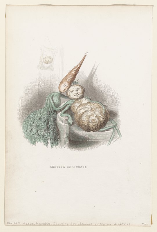 Carotte conjugale, Amédéé Varin, c. 1845
