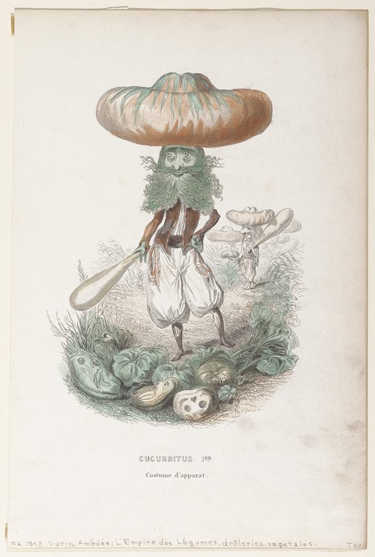 Cucurbitus 1er/ Costume d'apparat, Amédéé Varin, c. 1845