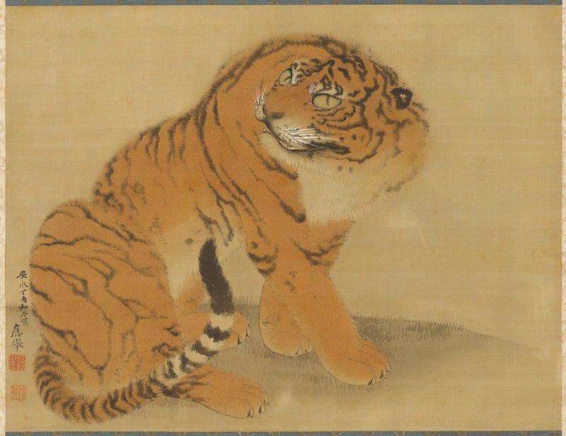 Sitting Tiger, Maruyama Ōkyo, 1777