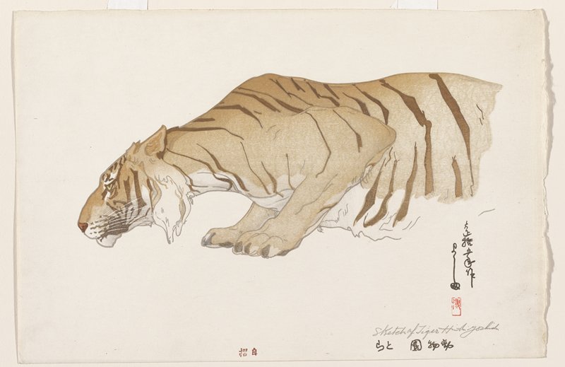Sketch of a Tiger, Yoshida Hiroshi (self-published) | Mia