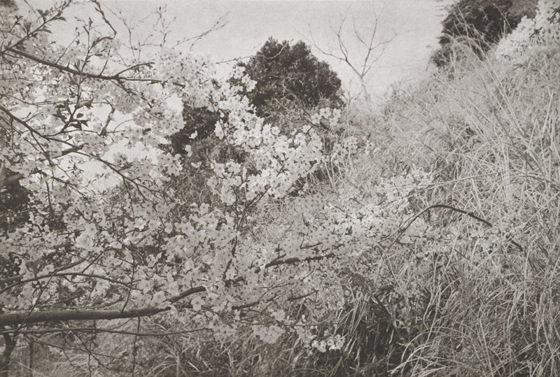 Shimonoseki, Lee Friedlander, 1984