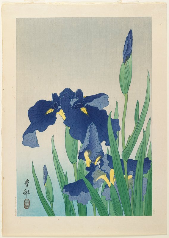 Iris, Ohara Shōson, 1930s