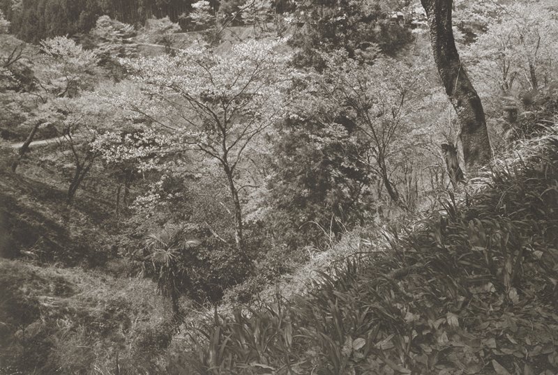 Yoshino, Lee Friedlander, 1984