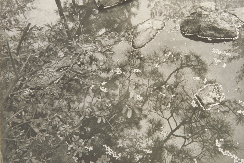 Kyoto, Lee Friedlander, 1981