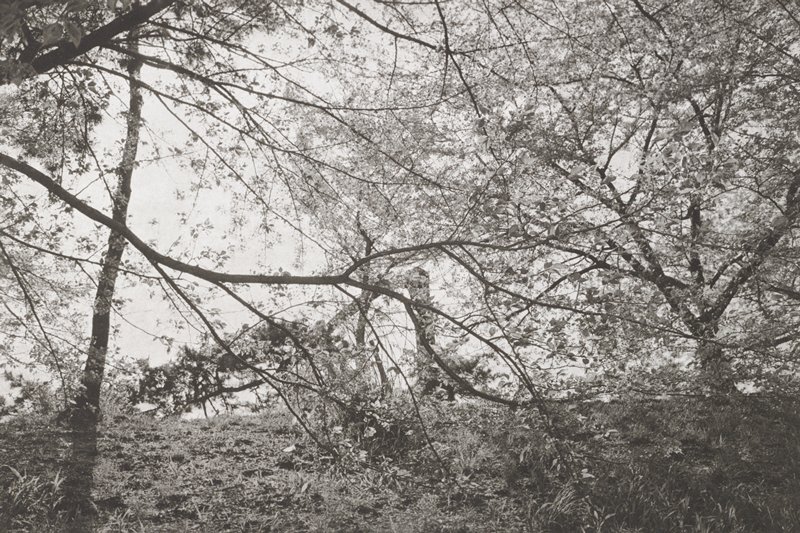 Tokyo, Lee Friedlander, 1984