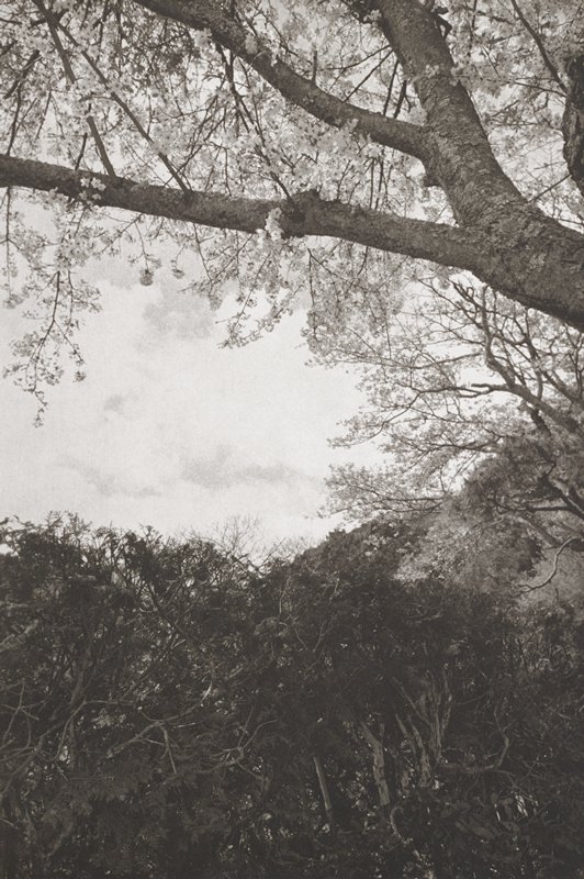 Kyoto, Lee Friedlander, 1984