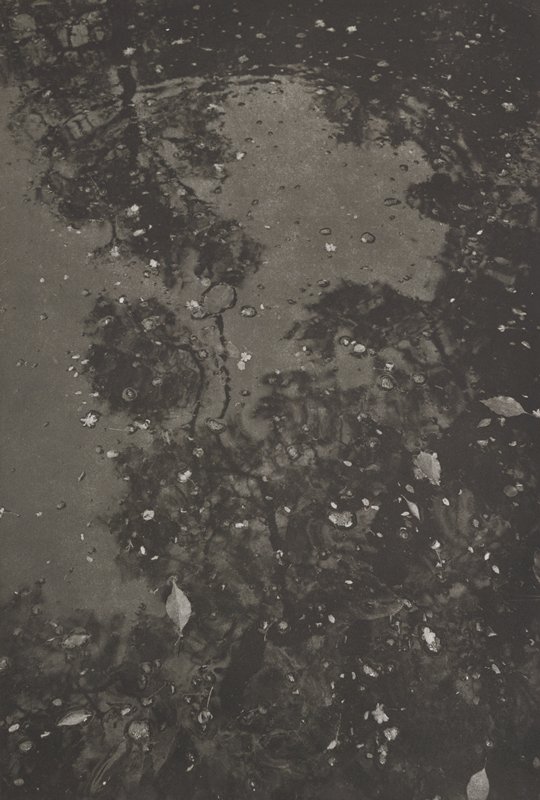 Kyoto, Lee Friedlander, 1981