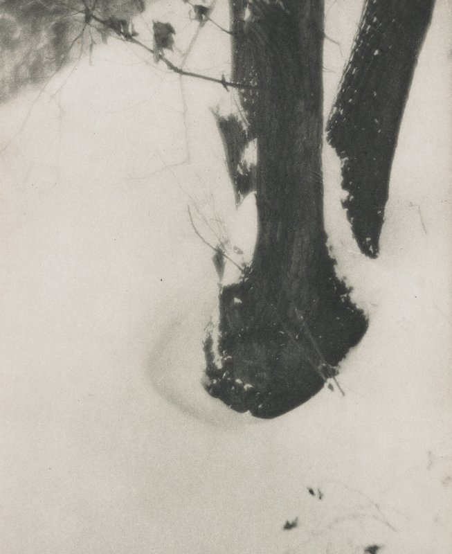 Decorative Study, Alvin Langdon Coburn, July 1906