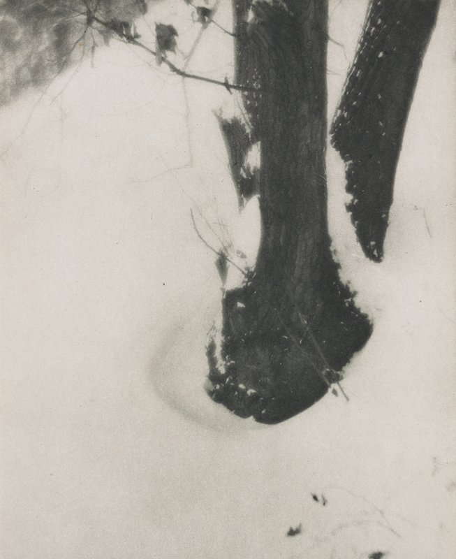 Decorative Study, Alvin Langdon Coburn, July 1906