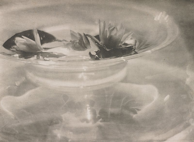 Still Life, Baron Adolf de Meyer, October 1908