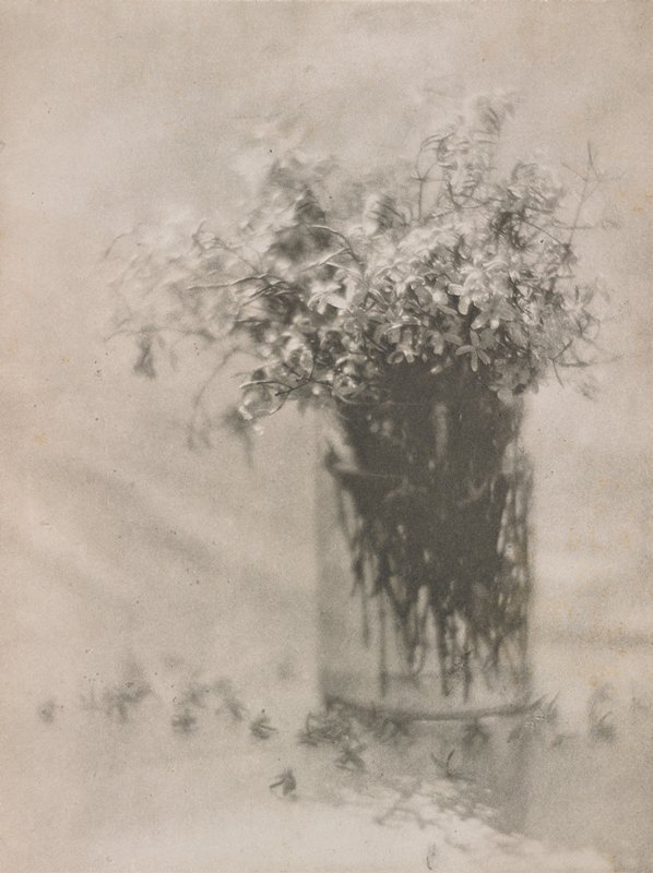 Still Life, Baron Adolf de Meyer, October 1908