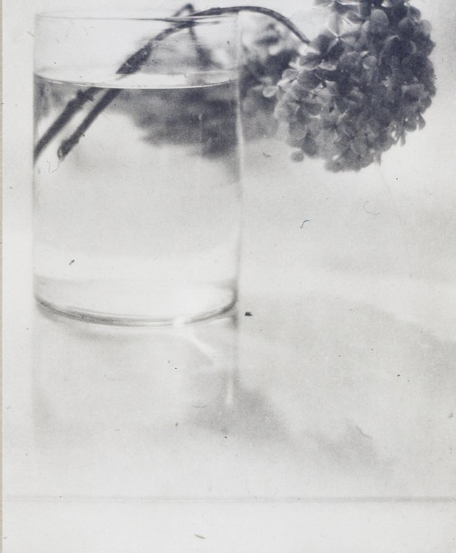 Still Life, Baron Adolf de Meyer, October 1908
