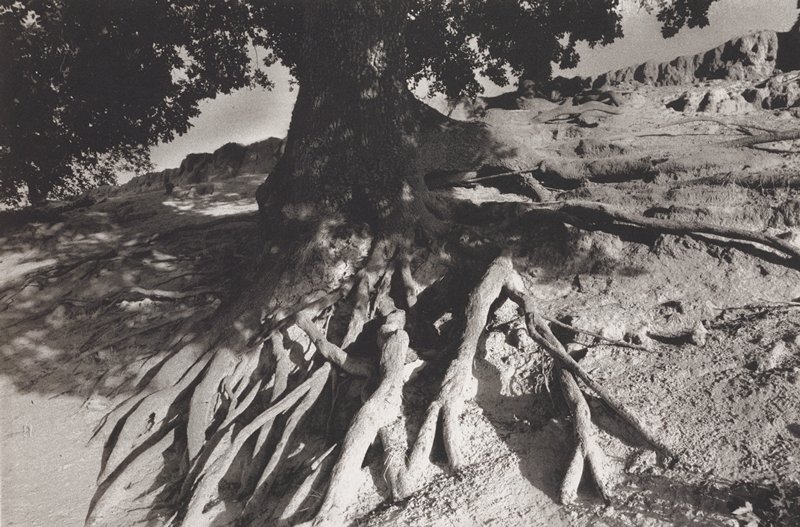 Roots-Montjustin, Alpes de Haute Provence, Мартине Франк, 1995
