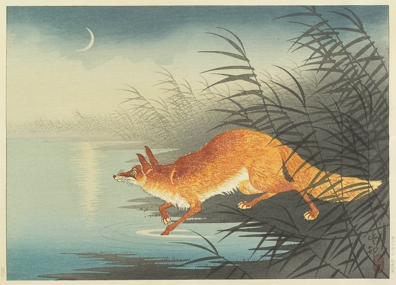 Fox by the Moonlit Water, Ohara Shōson; Publisher: Kawaguchi Jirō
