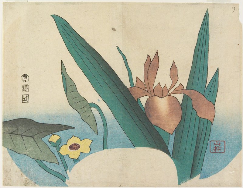 Iris and Arrowhead, Yamamatsu 山松, 1834