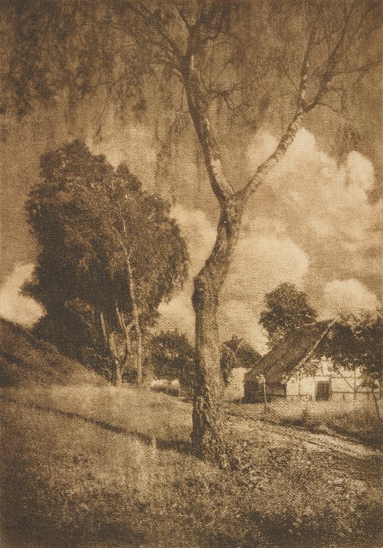 Pomeranian Motif, Hugo Henneberg, January 1906