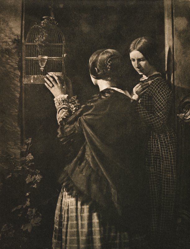 The Bird-Cage, David Octavius Hill, October 1909