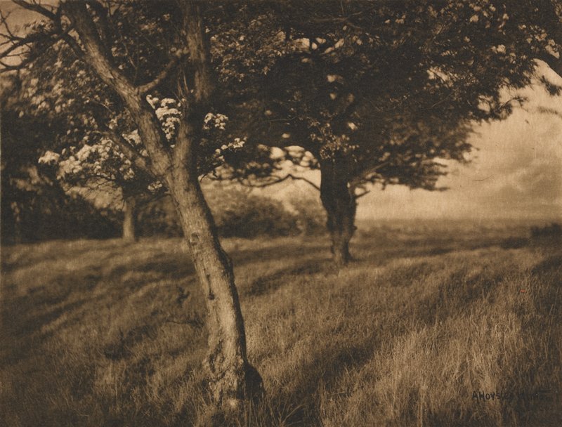 Beyond, Horsely A. Hinton, July 1905